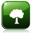 recursos naturais, ecossistema, flora
