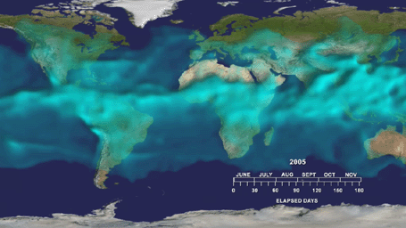 Ciclo do CO2