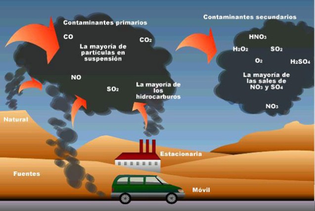 meio ambiente Ciclo do CO2